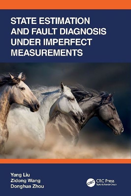 State Estimation and Fault Diagnosis under Imperfect Measurements