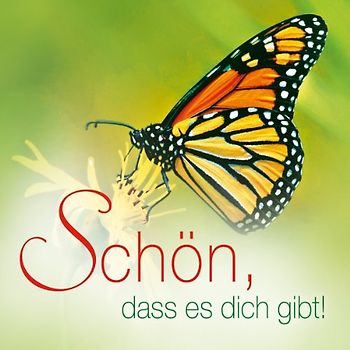 Layna - Schön, dass es dich gibt