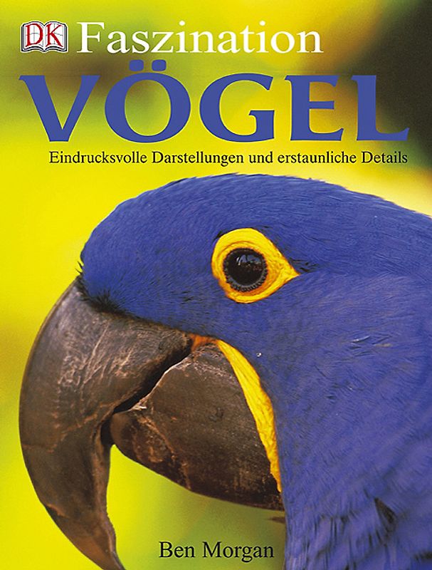 Vögel