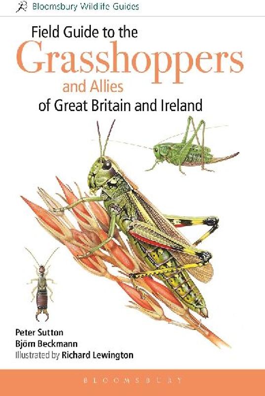 Field Guide to the Grasshoppers and Allies of Great Britain and Ireland