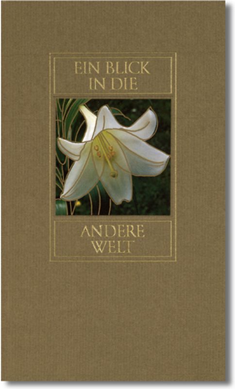 Ein Blick in die andere Welt