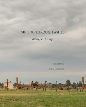 Sifting Through Ashes