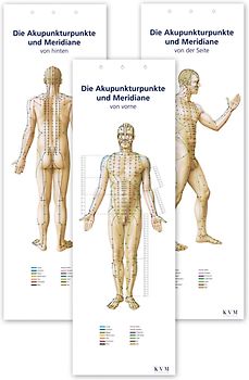 Lernposter: Akupunkturpunkte und Meridiane