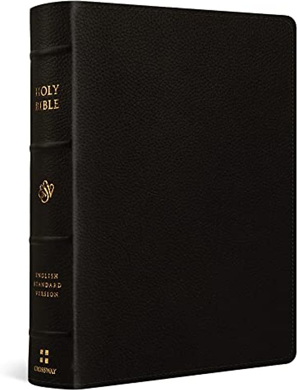 ESV Single Column Journaling Bible, Large Print (Buffalo Leather, Deep Brown)