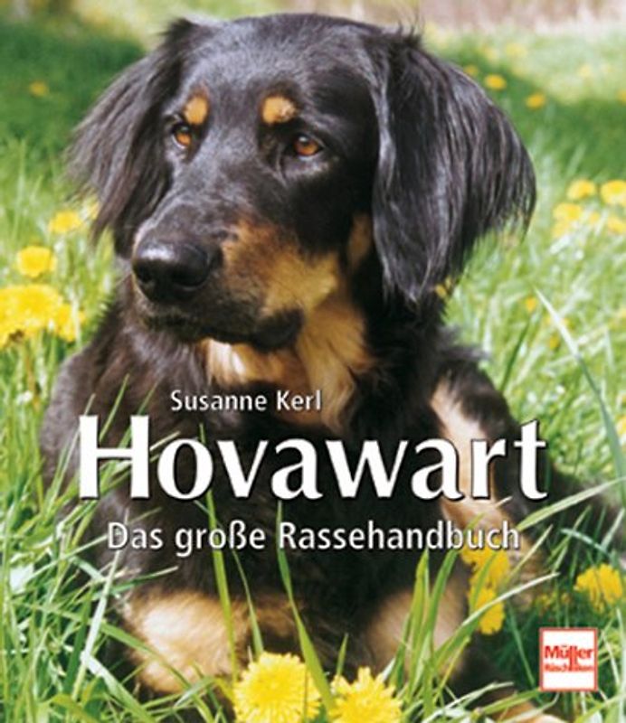 Hovawart
