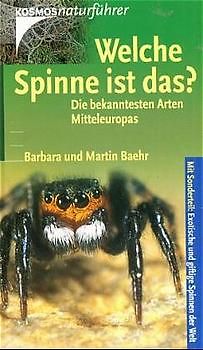 Welche Spinne ist das?