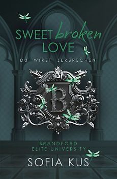 Sweet broken Love