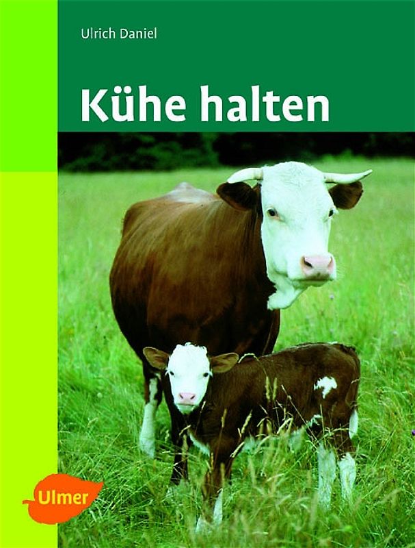 Kühe halten