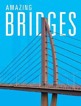 Amazing Bridges