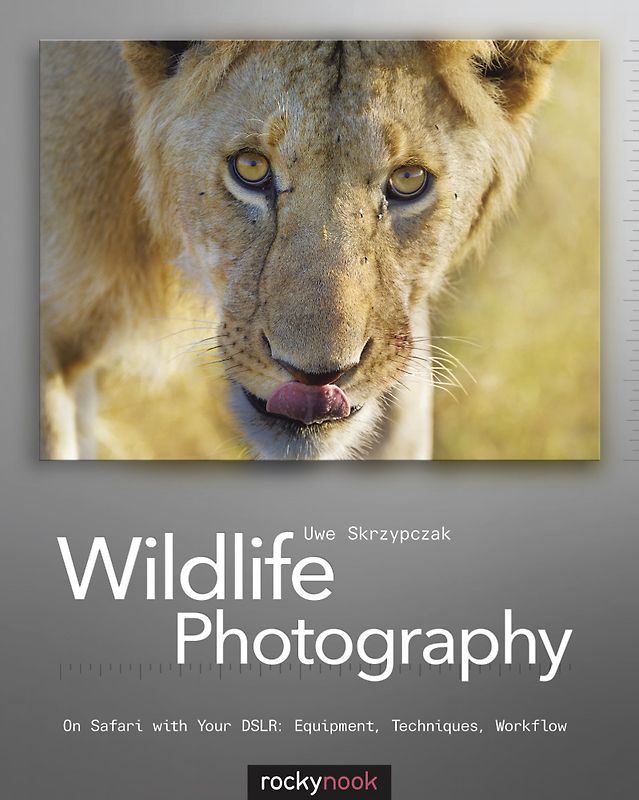 Wildlife Photography