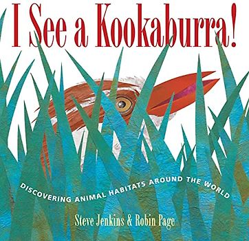 I See a Kookaburra!