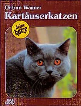 Kartäuserkatzen. Kauf - Haltung - Pflege