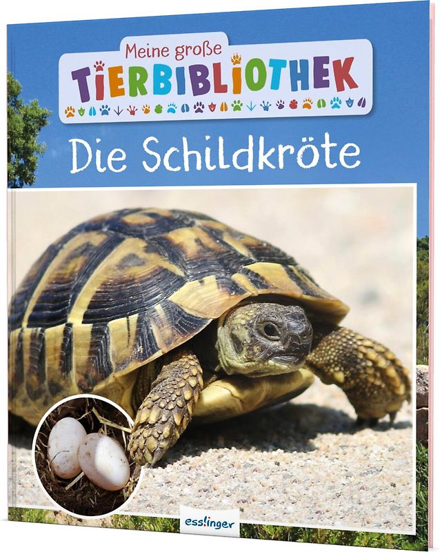 Meine große Tierbibliothek: Die Schildkröte