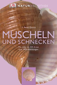 Muscheln und Schnecken
