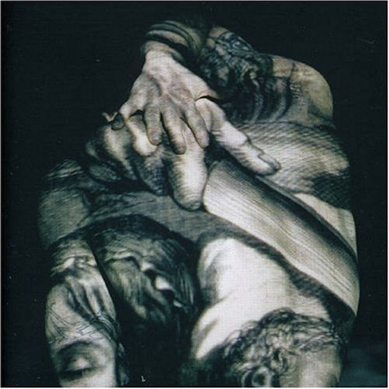 Raised Fist - Sound of the Republic