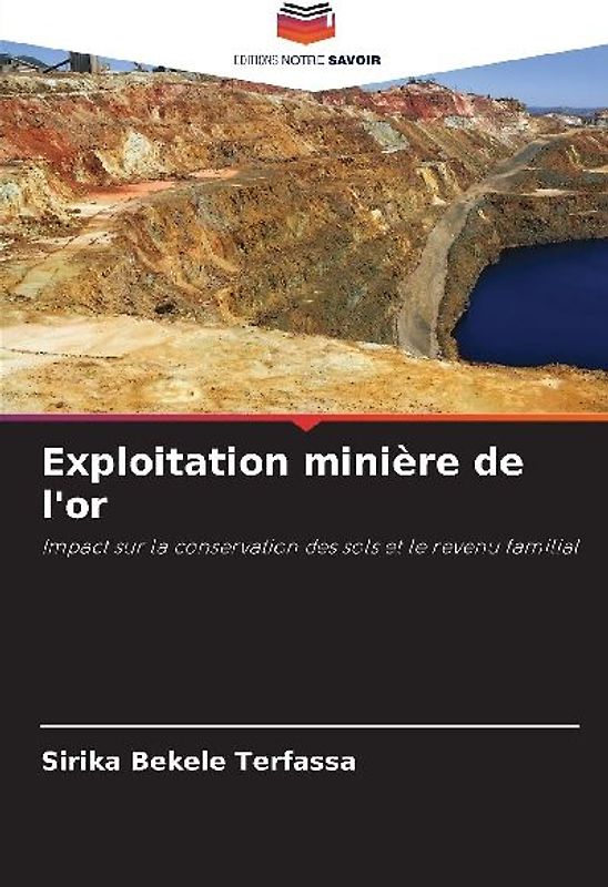 Exploitation minière de l'or