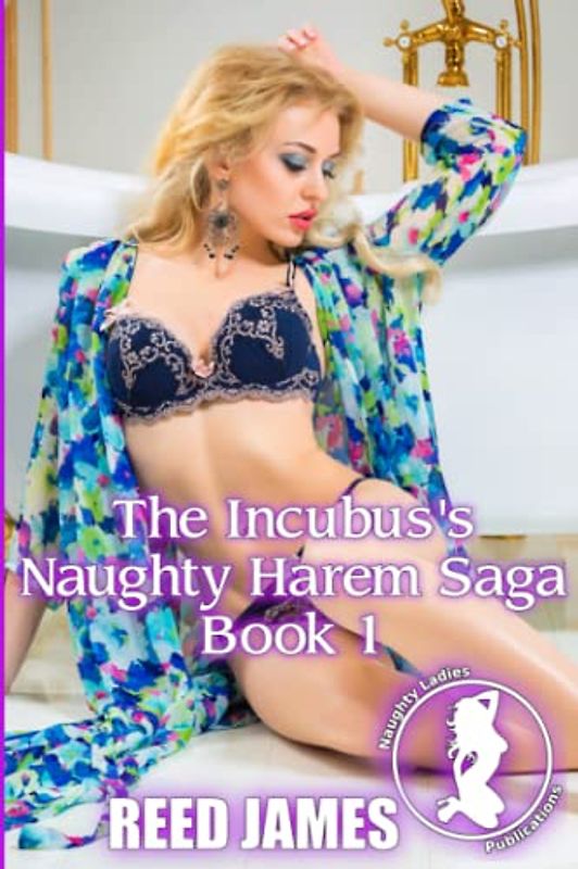 The Incubus's Naughty Harem Saga Book 1 (The Incubus's Harem Saga, Band 3)