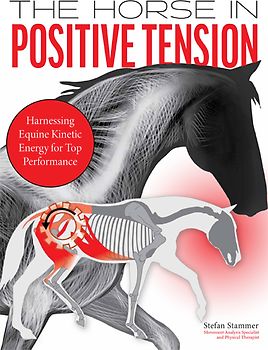 The Horse in Positive Tension