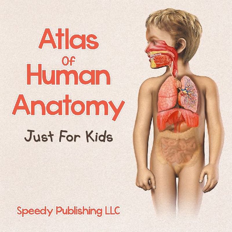 Atlas Of Human Anatomy Just For Kids