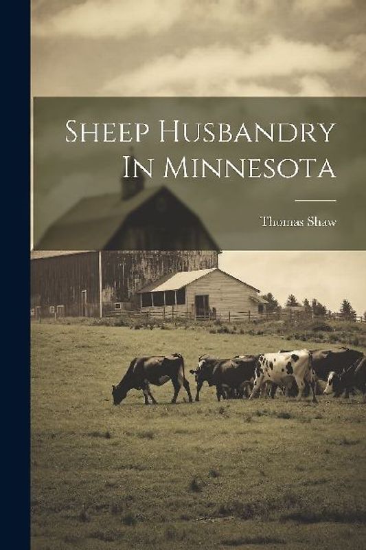 Sheep Husbandry In Minnesota