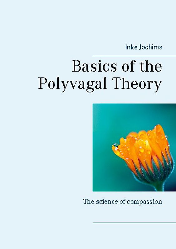 Basics of the Polyvagal Theory