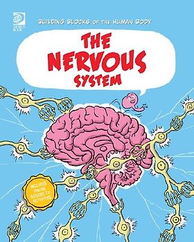 The Nervous System