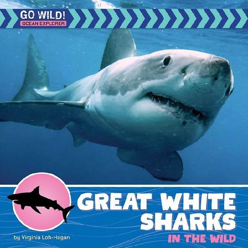 Great White Sharks in the Wild