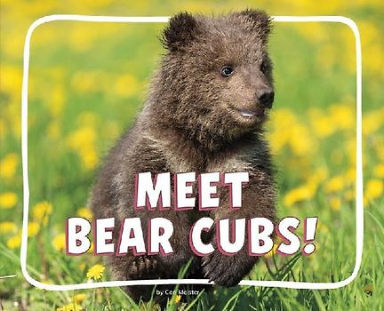 Meet Bear Cubs!