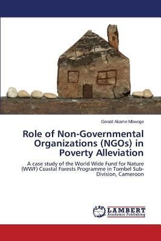 Role of Non-Governmental Organizations (NGOs) in Poverty Alleviation