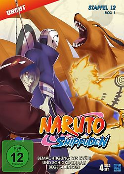 Naruto Shippuden - Staffel 12 - Box 1: Bemächtigung des Kyubi und schicksalhafte Begegnungen (Episoden 463-487, Uncut) [4 DVDs] DVD