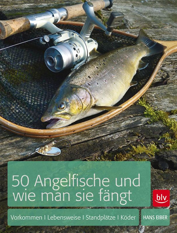 50 Angelfische und wie man sie fängt