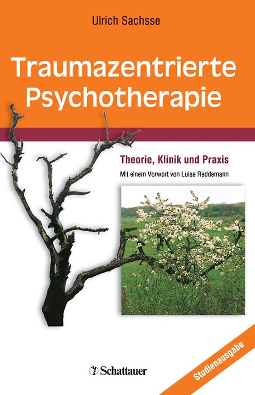 Traumazentrierte Psychotherapie