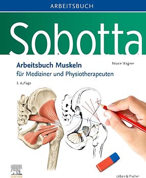 Sobotta Arbeitsbuch Muskeln