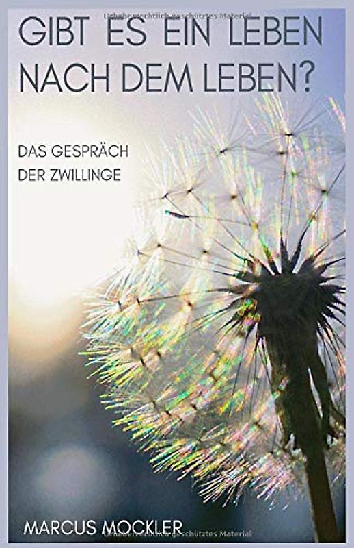 Gibt es ein Leben nach dem Leben?: Das Gespräch der Zwillinge