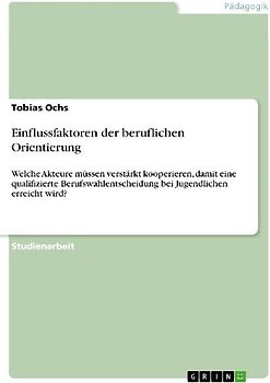 Einflussfaktoren der beruflichen Orientierung