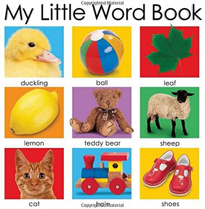 My Little Word Book - Roger Priddy