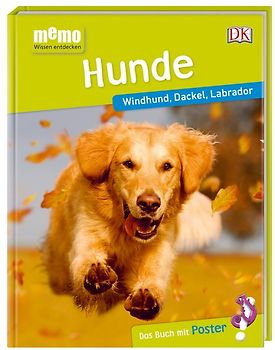 memo Wissen entdecken. Hunde