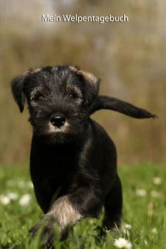 Mein Welpentagebuch: die ersten Monate mit meinem Mittelschnauzer