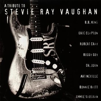 Various - A Tribute to Stevie Ray Vaugha