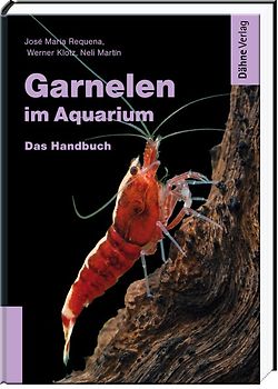 Garnelen im Aquarium