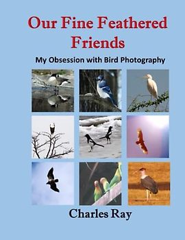 Our Fine Feathered Friends: My obsession with bird photography