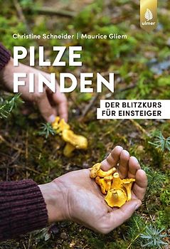 Pilze finden
