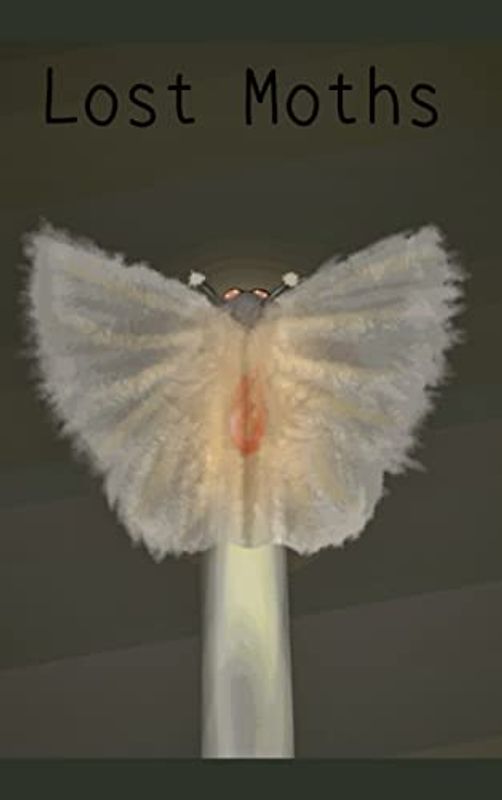 Lost Moths
