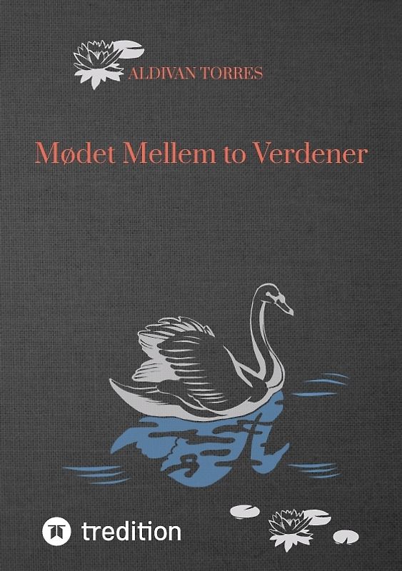 Mødet Mellem to Verdener
