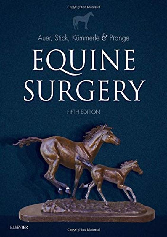 Equine Surgery