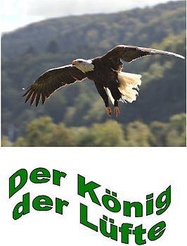 Der König der Lüfte