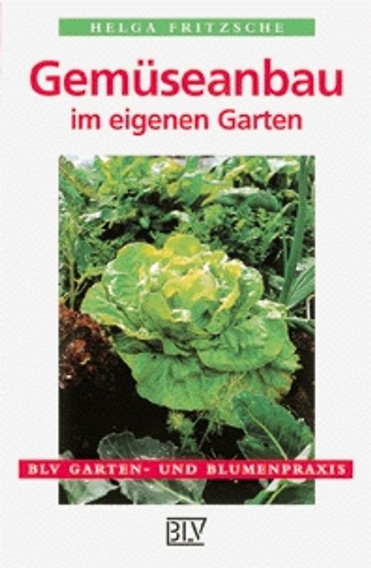 Gemüseanbau im eigenen Garten