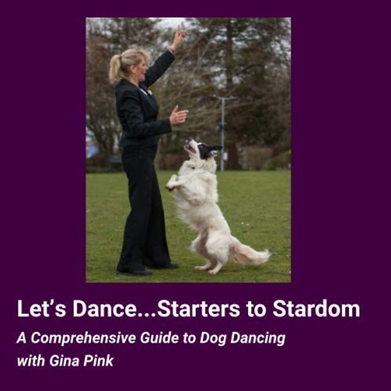 Let's Dance...Starters to Stardom: A Comprehensive Guide to Dog Dancing