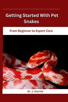 Getting Started With Pet Snakes: From Beginner to Expert Care
