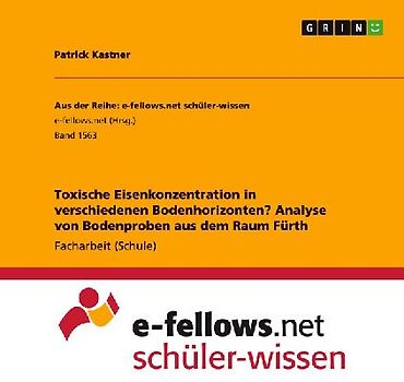 Toxische Eisenkonzentration in verschiedenen Bodenhorizonten? Analyse von Bodenproben aus dem Raum Fürth